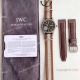 1-1 Best Replica IWC Mark XVIII Heritage Titanium Brown Nato Band Watch (10)_th.jpg